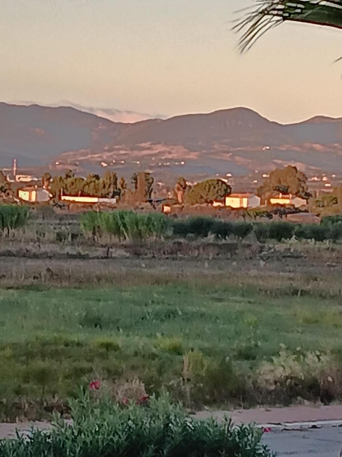 Stella Marina Jonica 1Km Vom Strand Mit Terrasse Daire Policoro Dış mekan fotoğraf